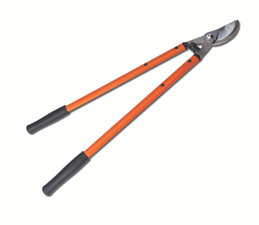 troncarami pl 5